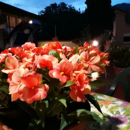 Lägenhet Relax Tra Le Ville Capannori